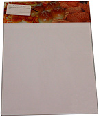 Стекло фронтальное Airhot для витрины HW-1